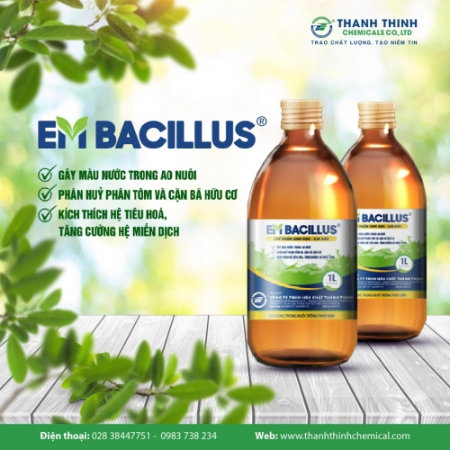 EM®BACILLUS (EM GỐC ĐẬM ĐẶC) - Gây màu nước trong ao nuôi, phân hủy phân tôm cá, kích thích hệ tiêu hóa